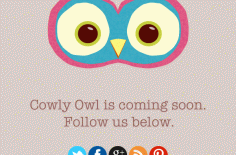 Introducing Cowly Owl